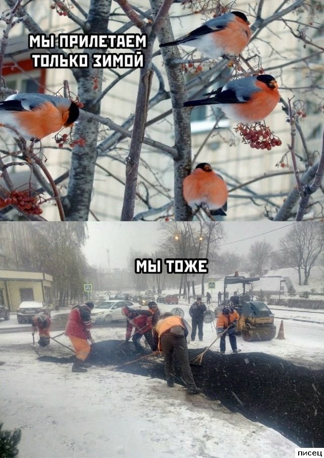 Зимние приколы интернета