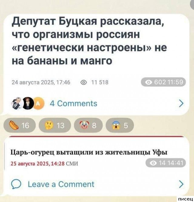 Все приколы Декабря. Финальная серия