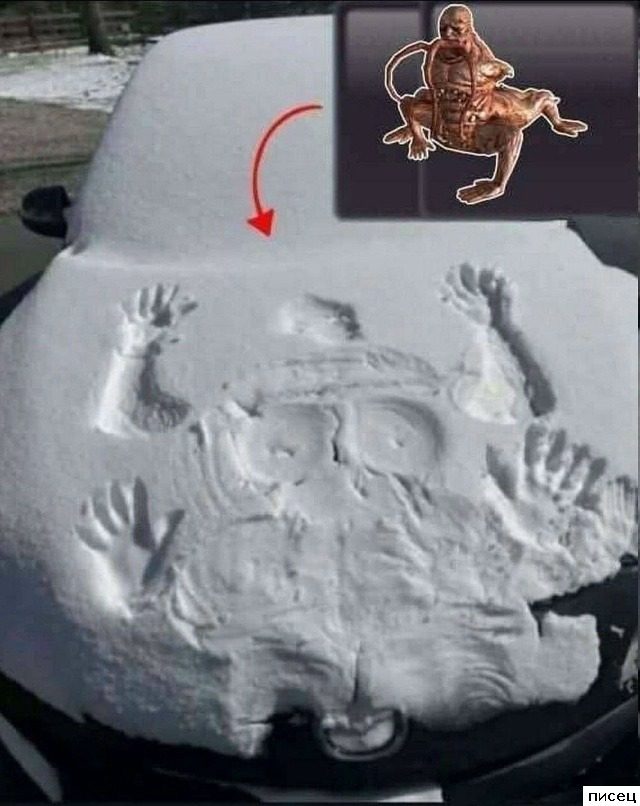 Зимние приколы интернета