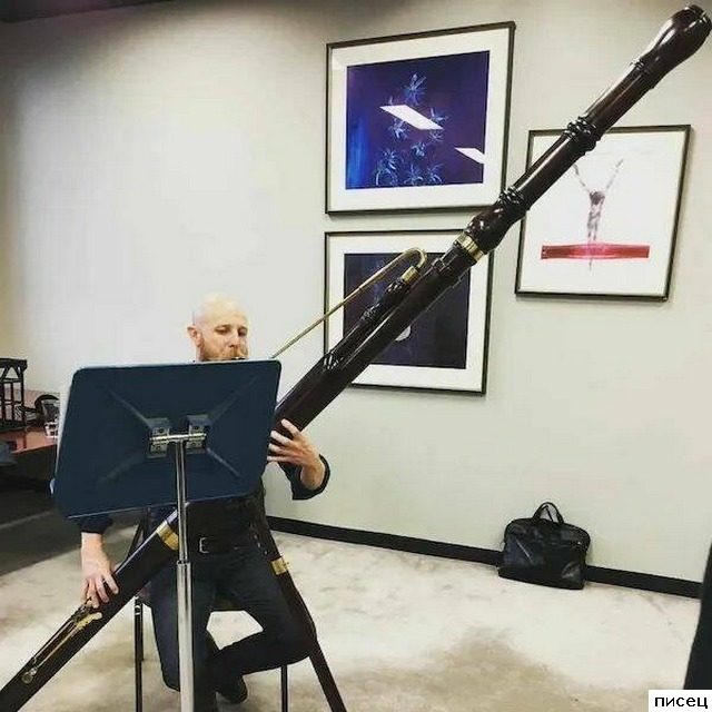 Вот это да! Вот это размерчики!