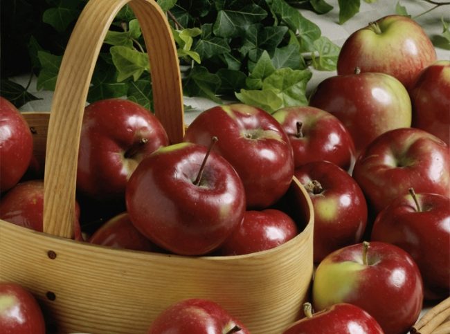 Как сохранить урожай яблок и груш - Портал Домашний