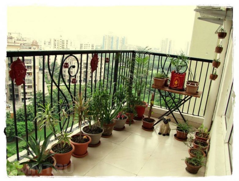 Сад на балконе: идеи обустройства