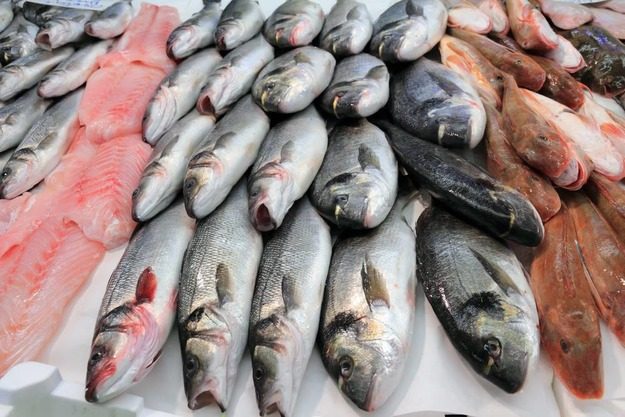 Почему рыбу надо есть регулярно