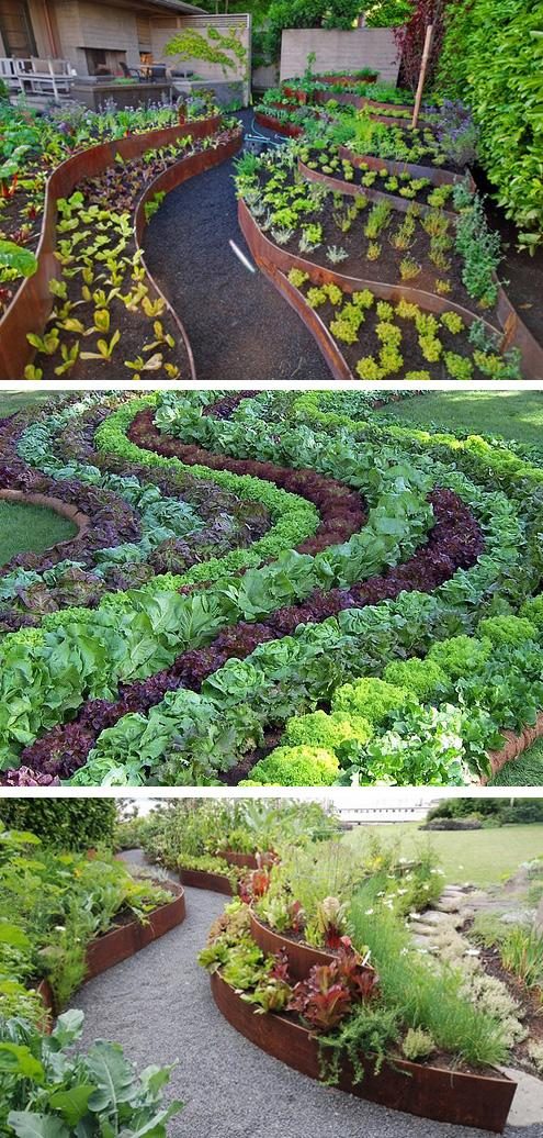 Для чего нужен декоративный огород: 10 причин создать его на даче