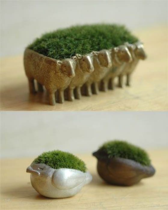 Это удивительно: оказывается, мы сами можем вырастить мох и украсить им дом!