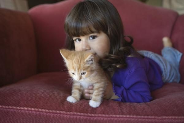 Кошка в доме: 5 правил безопасности для маленького ребенка