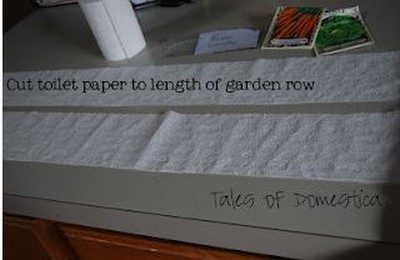 Упрощаем посадку растений с помощью туалетной бумаги!
