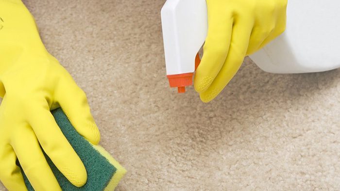 3 действенных способа чистки ковра в домашних условиях