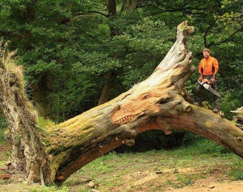 Креативные вещи из дерева
