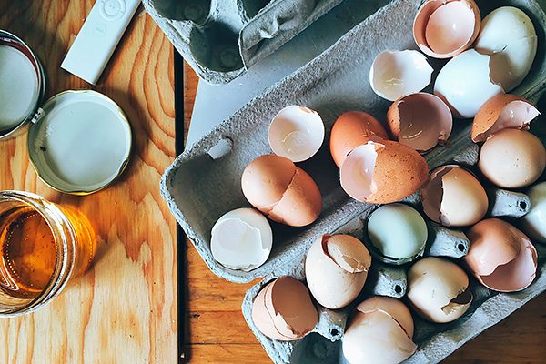 10 способов использования яичной скорлупы на даче