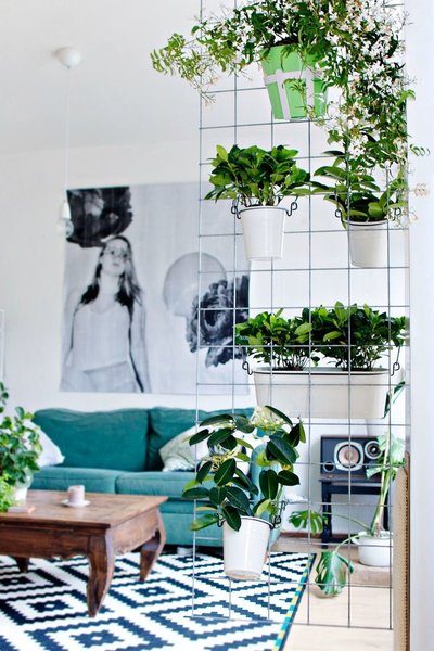 Как правильно декорировать интерьер растениями