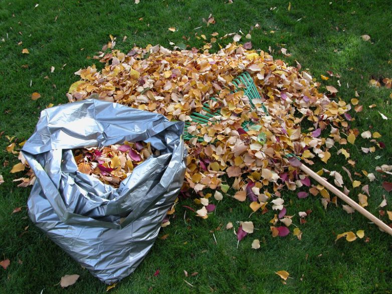 Как сделать компост из опавшей листвы