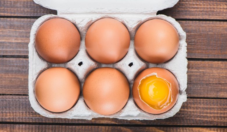 Применение лотков от яиц