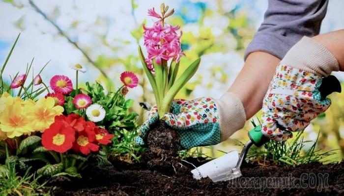 Советы, которые помогут упростить работу в саду