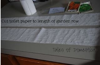 Как упростить посадку растений с помощью... туалетной бумаги