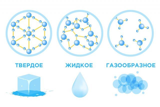 Как бороться с конденсатом в теплице