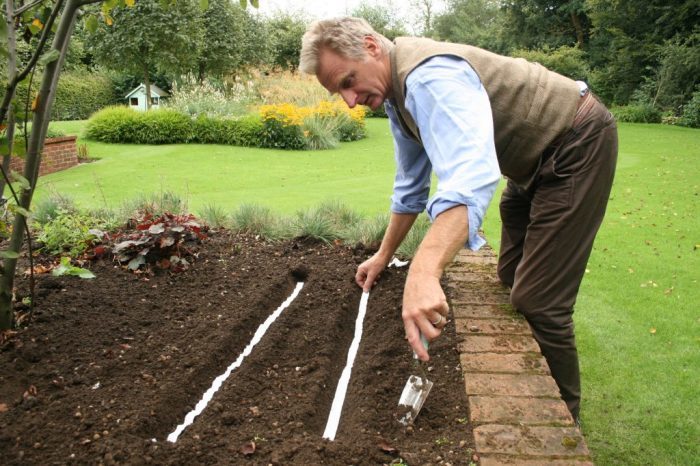10 советов, помогающих упростить работу в саду