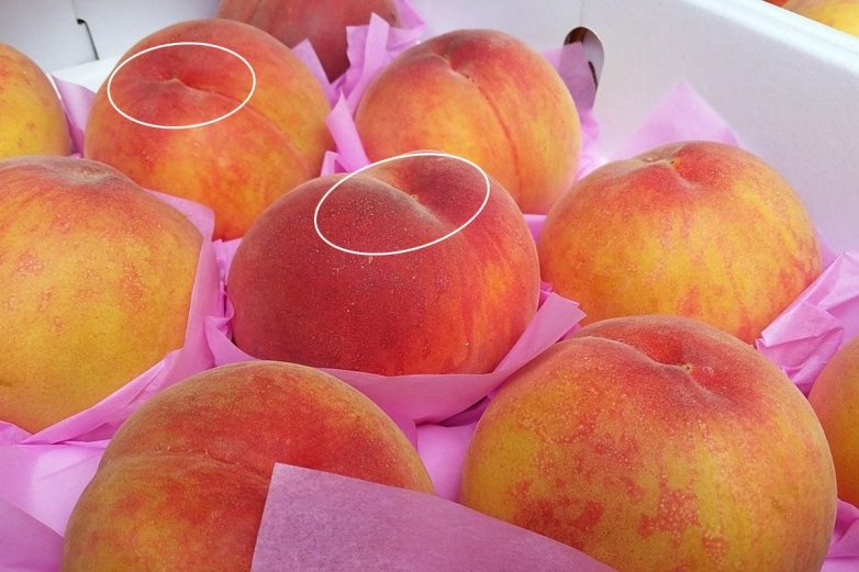 Как выбрать сладкие персики