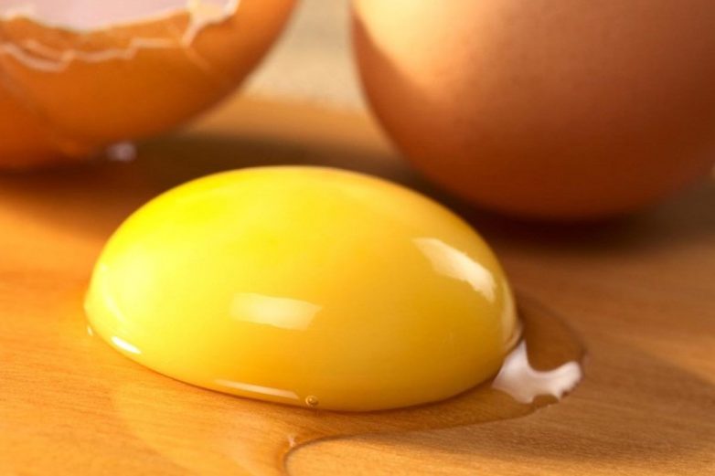 Как выбрать куриные яйца