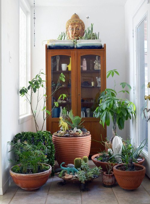 Какие растения не стоит держать в доме