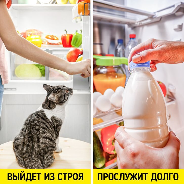 , -      ,    