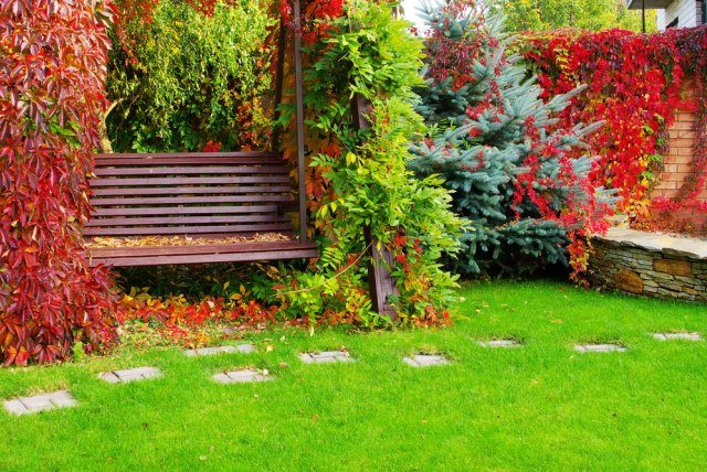Советы, которые превратят ваш участок в сад с обложки