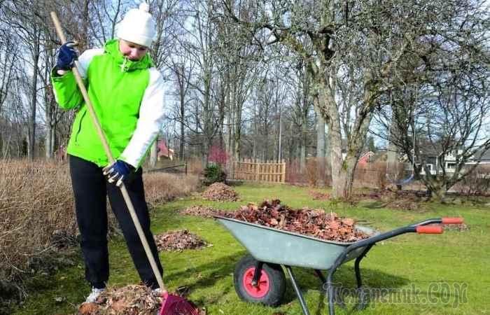 Какие работы не нужно делать в саду по весне