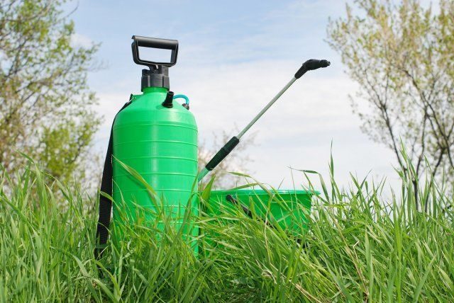 Правила, которые надо соблюдать при обработке растений пестицидами