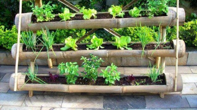 Идеи, как украсить огород и вырастить хороший урожай