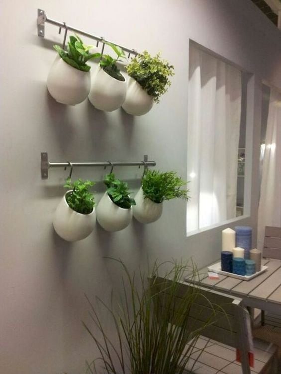 Идеи вертикального озеленения для небольших комнат
