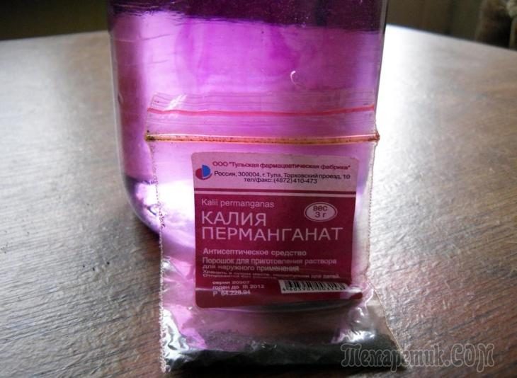 Марганцовка на даче, применение, как разводить, польза и вред