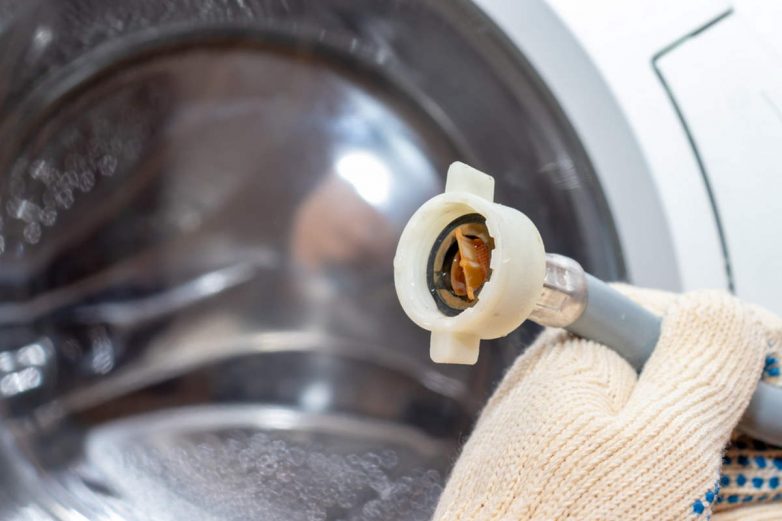 Как вывести плесень из стиральной машины