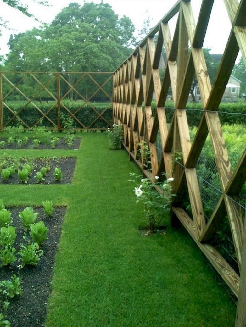 Идеи дизайна огорода, идеально подходящий для начинающих