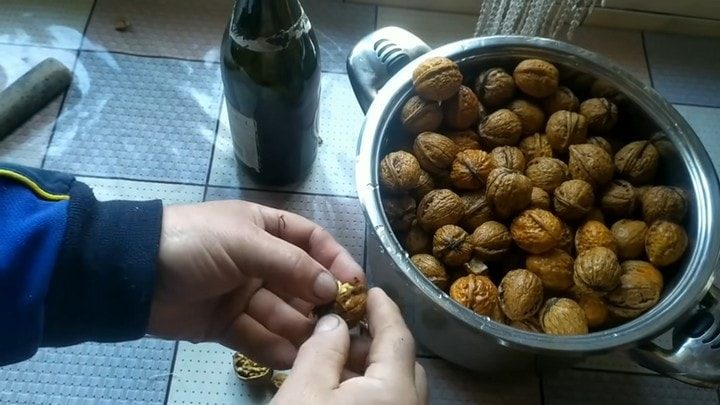 Как быстро почистить грецкие орехи