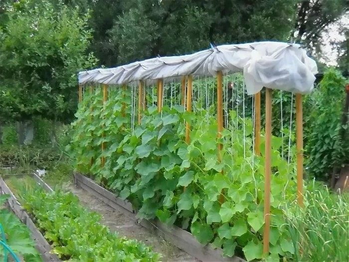 Идеи для сада и огорода, которые облегчат работы и сэкономят время