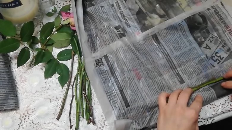 Зачем заворачивать черенки роз в газеты
