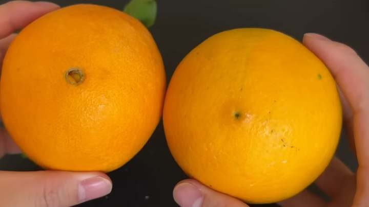 Как выбрать самые сочные и сладкие апельсины
