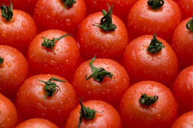 Самые неприхотливые сорта томатов