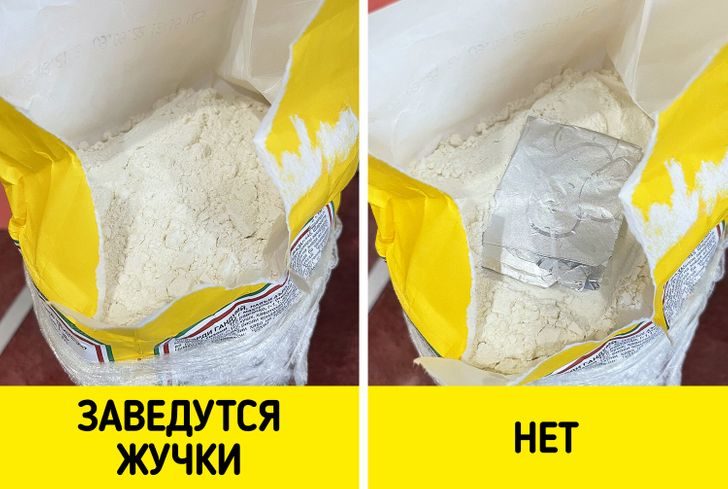 Непривычные способы хранения продуктов