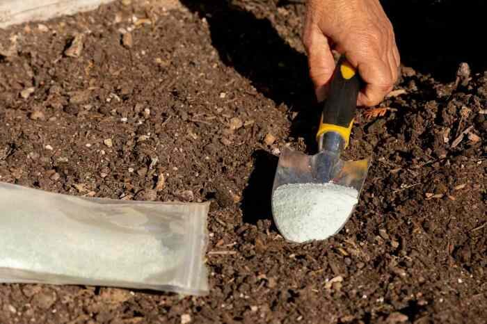 Как при помощи подручных средств определить кислотность почвы