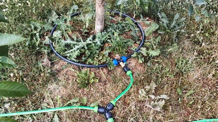 Автополив дождевой водой без насосов и электричества