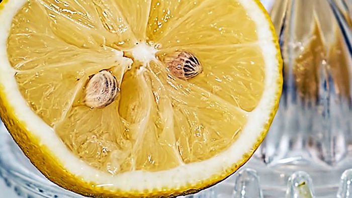 5 народных способов удаления папилломы