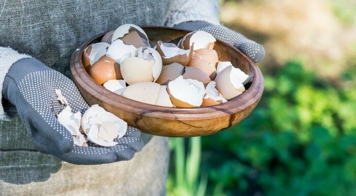 Самые бесполезные лайфхаки для садоводов