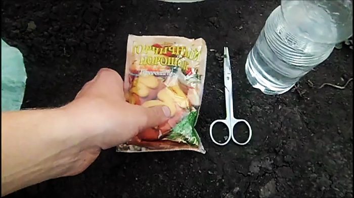 Как бороться с колорадским жуком органическими средствами