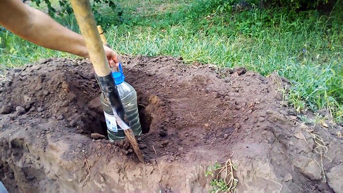 Как организовать капельный полив бутылками