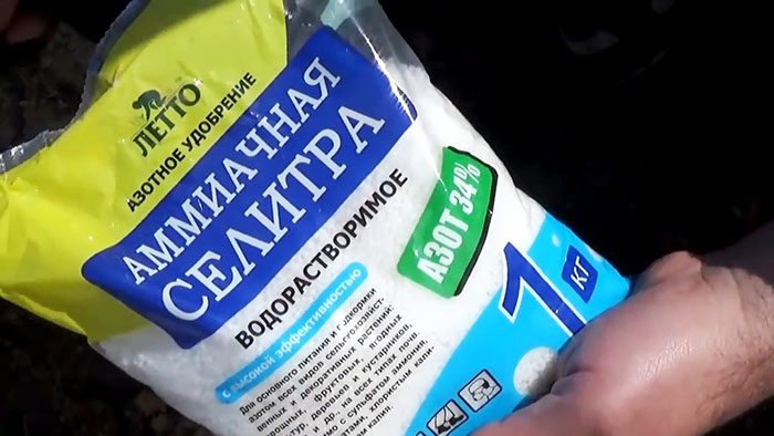 Как без физических усилий избавиться от пенька