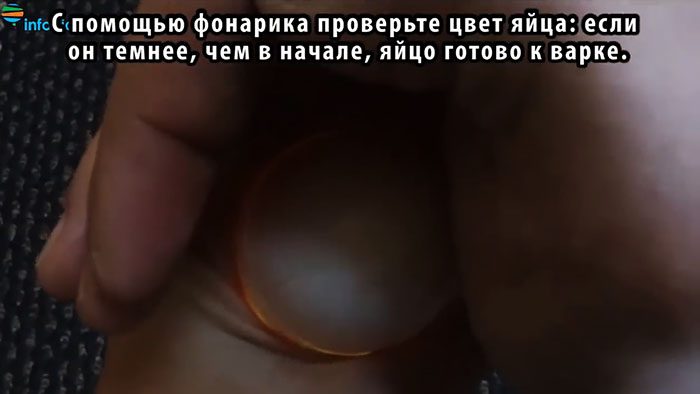 Как сварить яйца желтками наружу