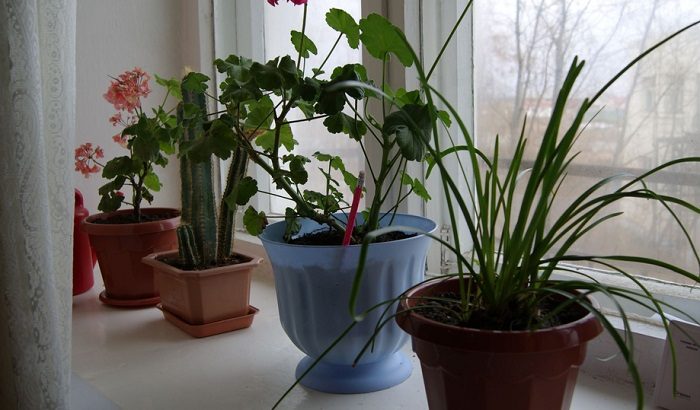 Как избавиться конденсата на окнах