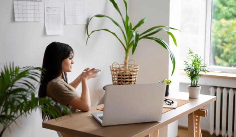 Комнатные растения, которые лучше остальных очищают воздух