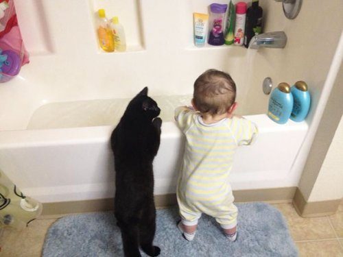 Очаровательные малыши и кошки